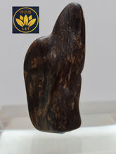 Load image into Gallery viewer, 🌿Brunei Speed Sinking Agarwood &quot;Enlightenment from the Divine&quot; Heavenly Crafted Amulet 4.5g  🌱 “仙人指路” 文莱树心油急沉水沉香 天雕作品 4.5克🌿 (D)
