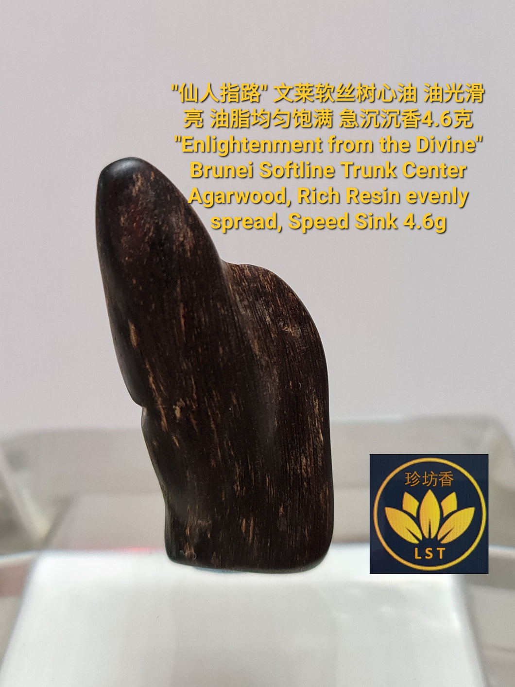 🌿Brunei Speed Sinking Agarwood 