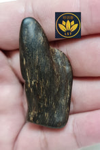 Load image into Gallery viewer, 🌿Brunei Speed Sinking Agarwood &quot;Enlightenment from the Divine&quot; Heavenly Crafted Amulet 4.5g  🌱 “仙人指路” 文莱树心油急沉水沉香 天雕作品 4.5克🌿 (D)
